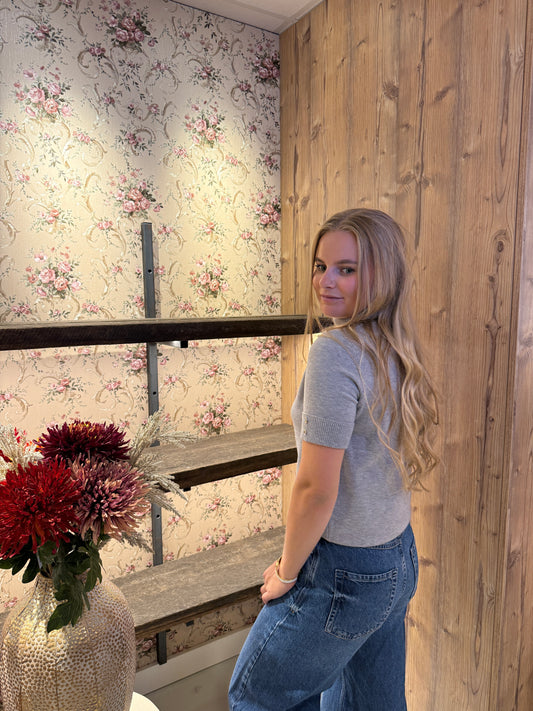 Yfke top Glitter taupe