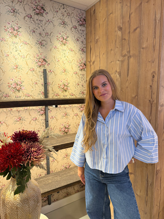 Lien blouse blauwe streep