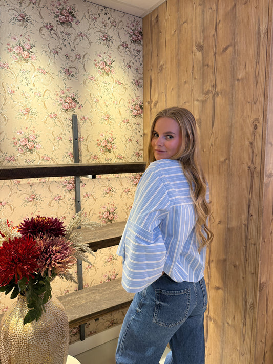 Lien blouse blauwe streep