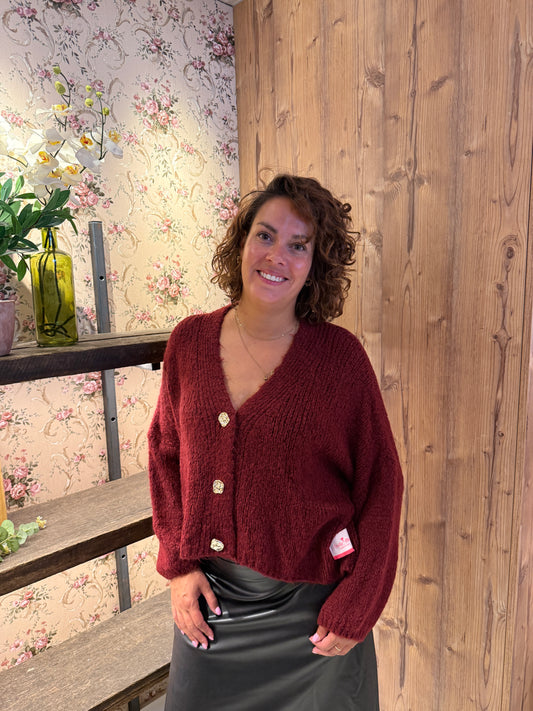 Yara vest bordeaux